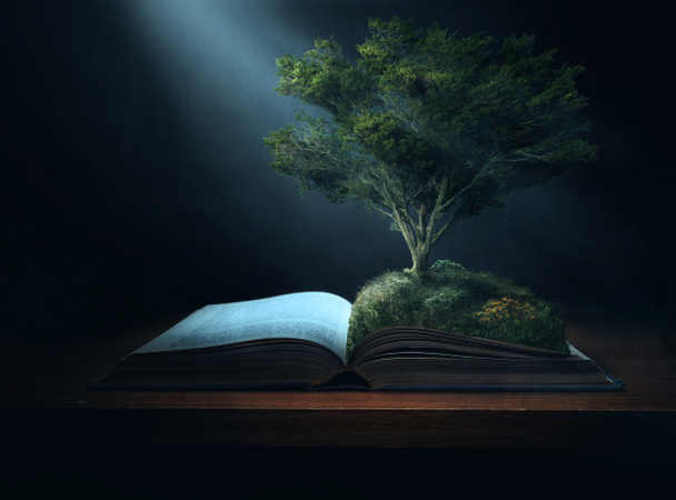 Árbol de la Biblia y rayos de luz
 - Foto, Imagen
