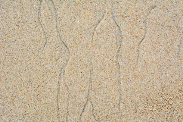 美しい砂の背景 - 写真・画像
