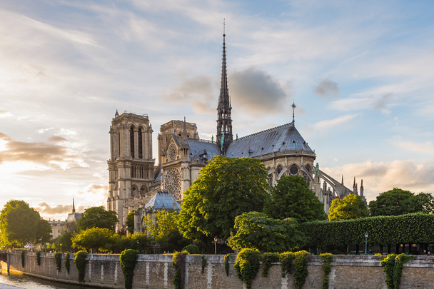 ο καθεδρικός ναός της notre dame de paris, Γαλλία - Φωτογραφία, εικόνα