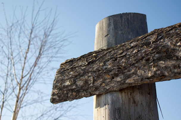 Tablones de madera de pino con corteza de cerca
 - Foto, Imagen