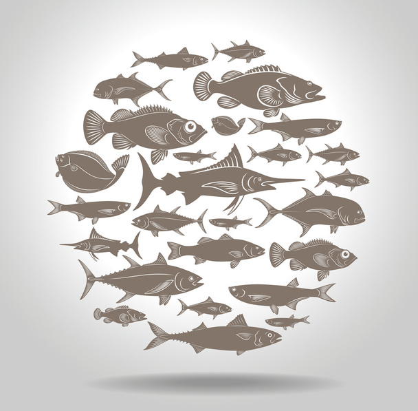 marine fishes in circle - Vector, Image