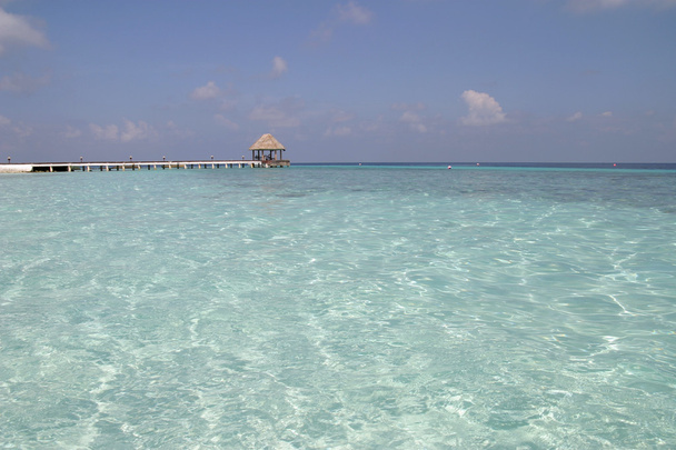 Isola turistica meridionale delle Maldive nell'oceano Indiano
 - Foto, immagini
