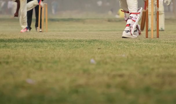 Cricket is playing - Photo, Image
