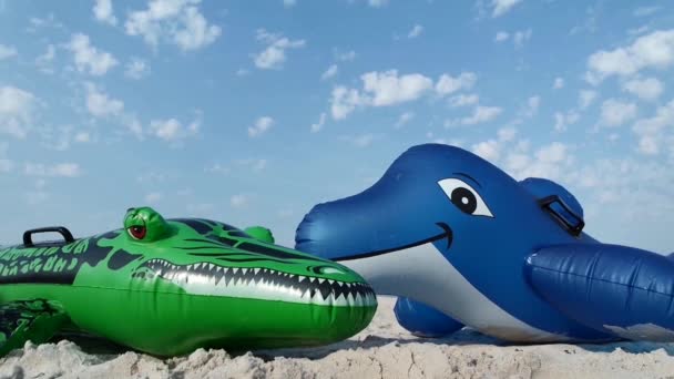 Δελφίνι και κροκόδειλος στην παραλία - Πλάνα, βίντεο