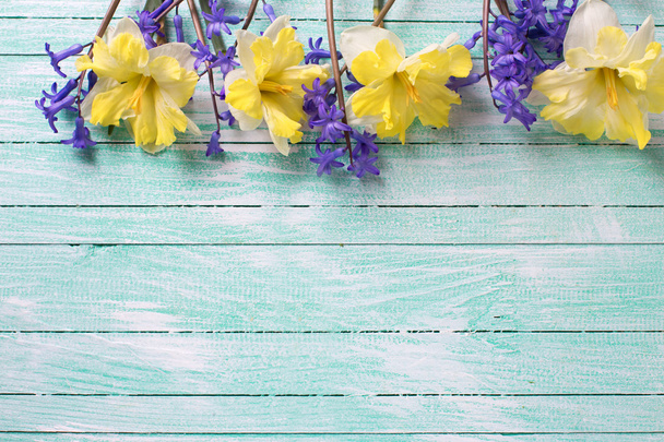 Bright yellow and blue spring flowers - Valokuva, kuva