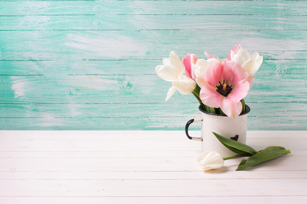 White and pink  tulips - Fotó, kép