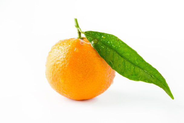 Clementine on white background - Foto, immagini