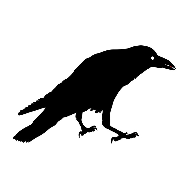 la silueta vectorial de los cuervos en las posiciones diferentes. contorno vectorial
. - Vector, imagen