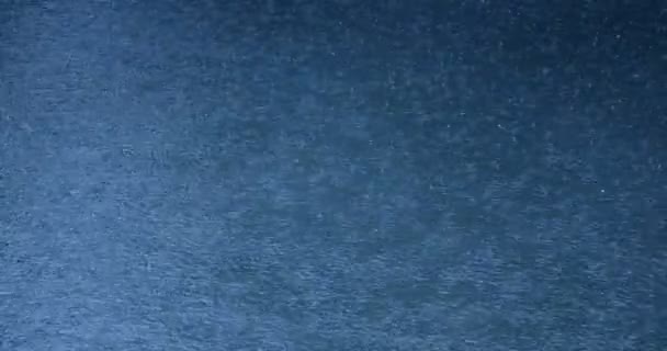 Druppels in regen zwembad 4k - Video
