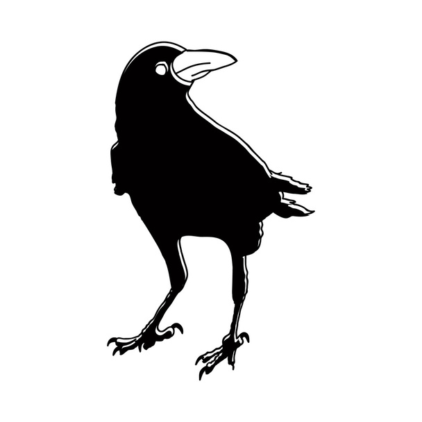 silhouette vectorielle d'un corbeau dans différentes positions. contour vectoriel
. - Vecteur, image