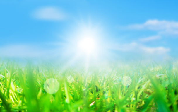 Розмите зелене трав'яне поле з блакитним небом і сонячним промінням
 - Фото, зображення