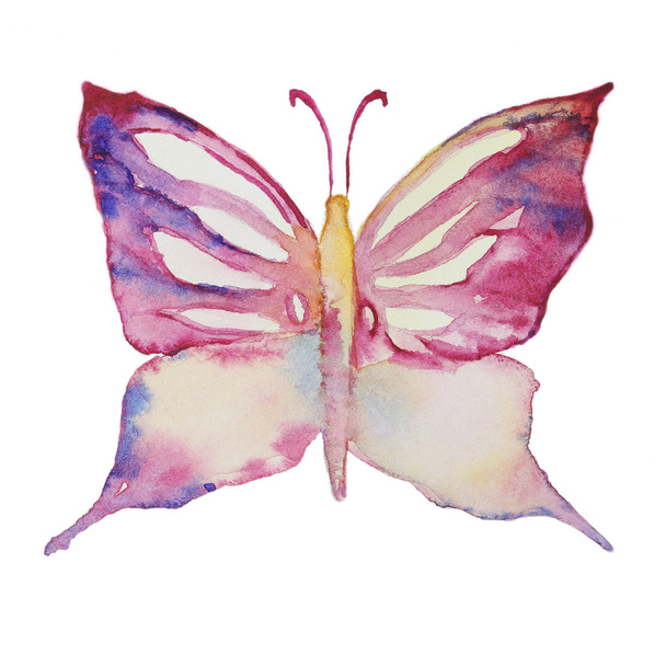 Watercolor butterfly on white - Foto, afbeelding