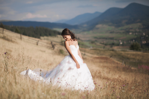 Gorgeous bride in elegant dress posing at sunny summer day on a background of mountains - Fotografie, Obrázek