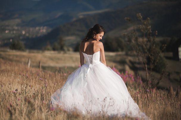 Gorgeous bride in elegant dress posing at sunny summer day on a background of mountains - Foto, Imagen
