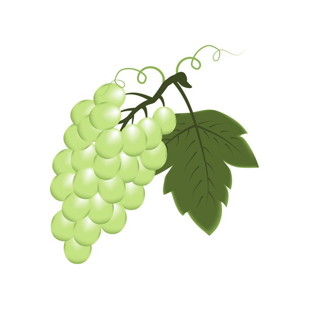 ikona owoców winogron - Wektor, obraz