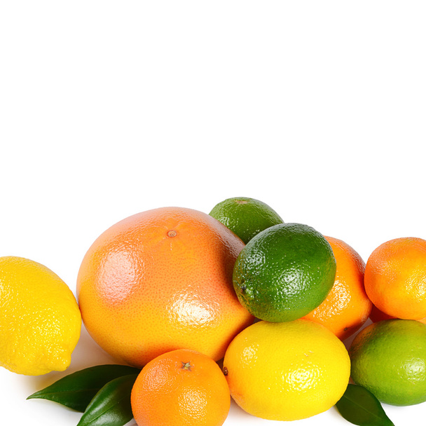 Allsorts from a citrus isolated on white - Foto, afbeelding