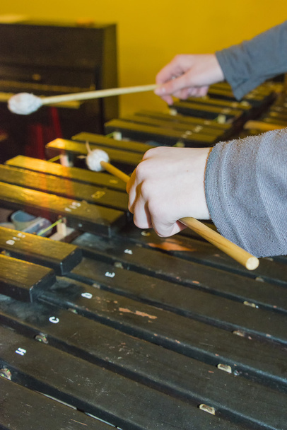 Hands of musician playing the xylophone - Photo, Image