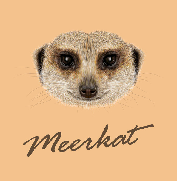 Αφρικανική Meerkat πορτρέτο - Διάνυσμα, εικόνα