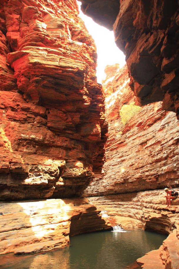 Национальный парк Кариджини, Западная Австралия
 - Фото, изображение