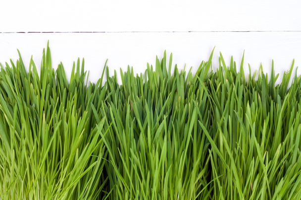 Fresh green grass on a white wooden background - Фото, изображение