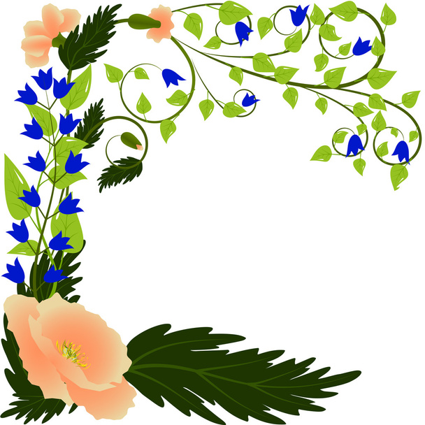 Beige poppies with bluebells - Vector, imagen