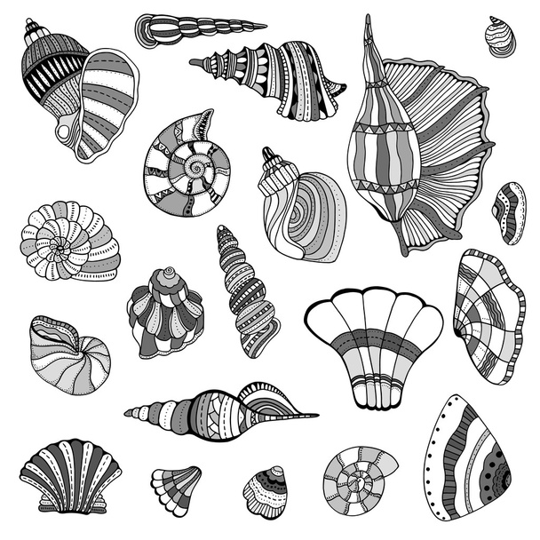 Seashell set collection - Вектор, зображення