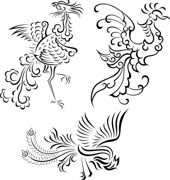 Phoenix ilustrace - Vektor, obrázek