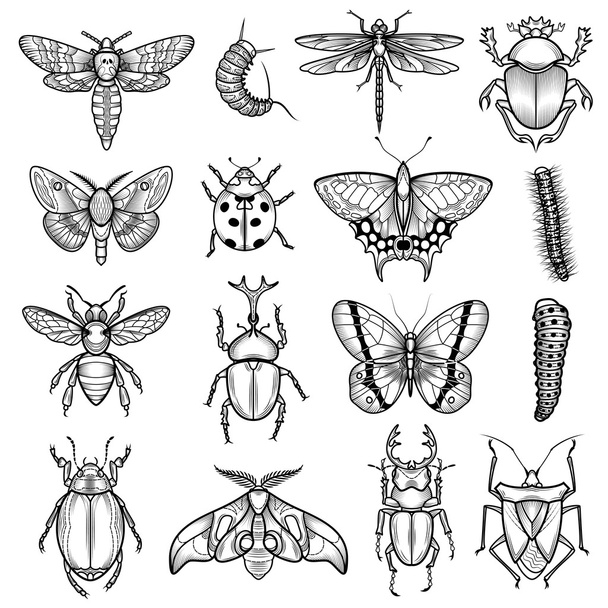 Insects Black White Line Icons Set - Вектор,изображение