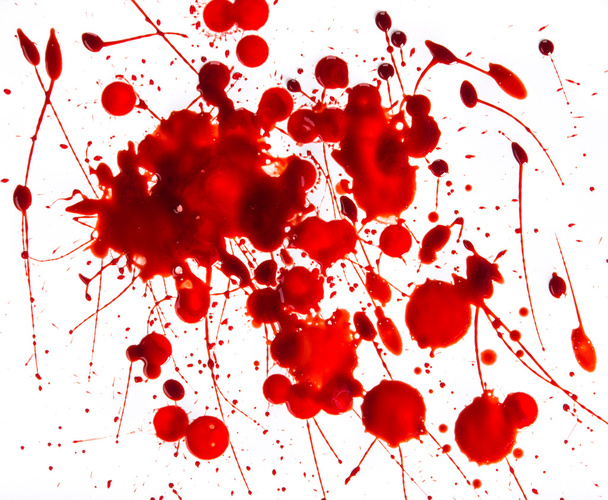 Splattered blood stains on white background - Φωτογραφία, εικόνα
