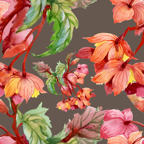 kvetoucí květy ibišku - Fotografie, Obrázek