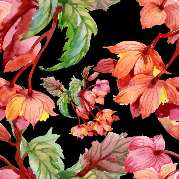 blooming hibiscus flowers - Zdjęcie, obraz