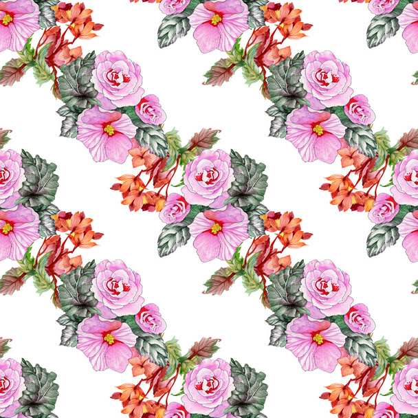 blooming roses and hibiscus flowers - Valokuva, kuva