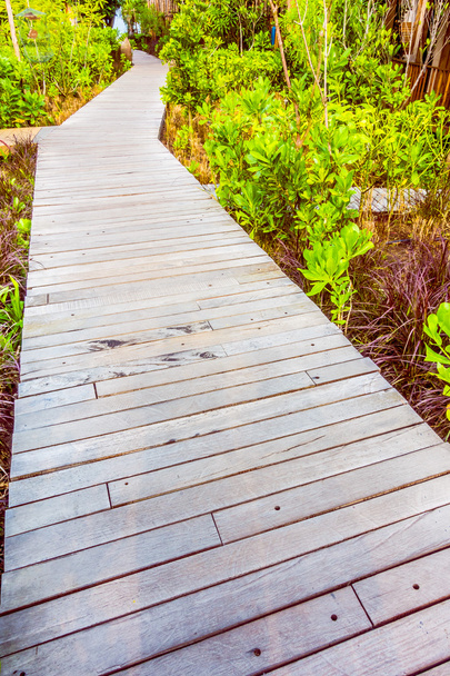 Fából készült kerti ösvény a járás - Fotó, kép