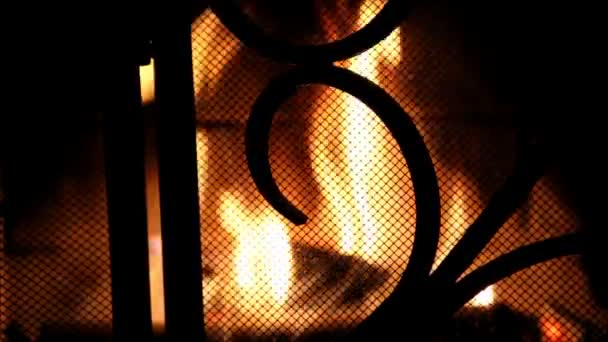 Közeli kép a tűz mögött kovácsoltvas képernyő. - Felvétel, videó