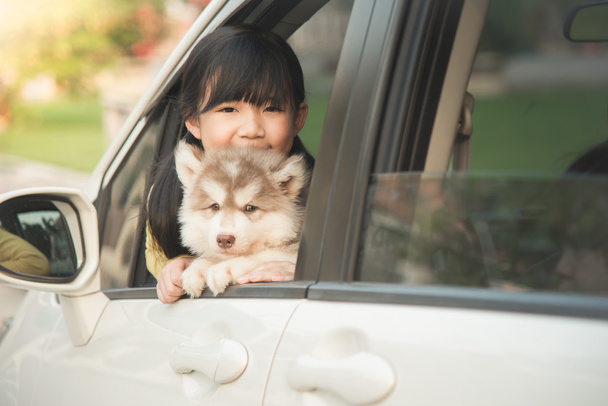 asian girl and siberian husky puppy sitting in the car - Photo, Image