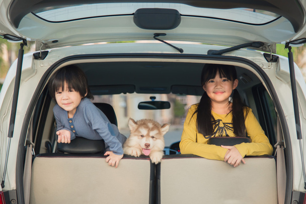 азиатские дети и сибирский щенок хаски, сидящий в машине
 - Фото, изображение