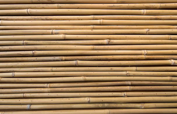 cerca hecha de palos de bambú - Foto, Imagen