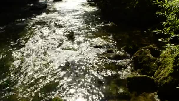 Син річка в Німеччині - Кадри, відео
