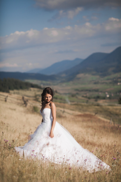 Gorgeous bride in elegant dress posing at sunny summer day on a background of mountains - Fotografie, Obrázek