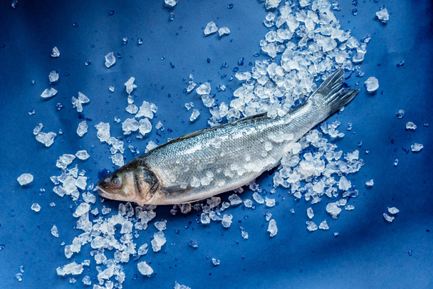 fresh fish in ice - Foto, Imagem