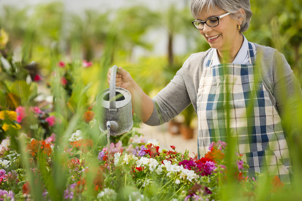 Mature woman watering flowers - Photo, Image