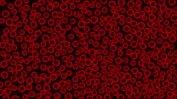 Mikroszkóp mikrobiológia piros 4k - Felvétel, videó