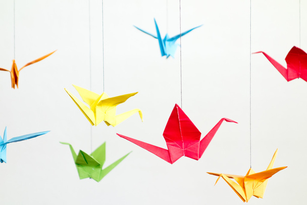 oiseaux origami blanc - Photo, image