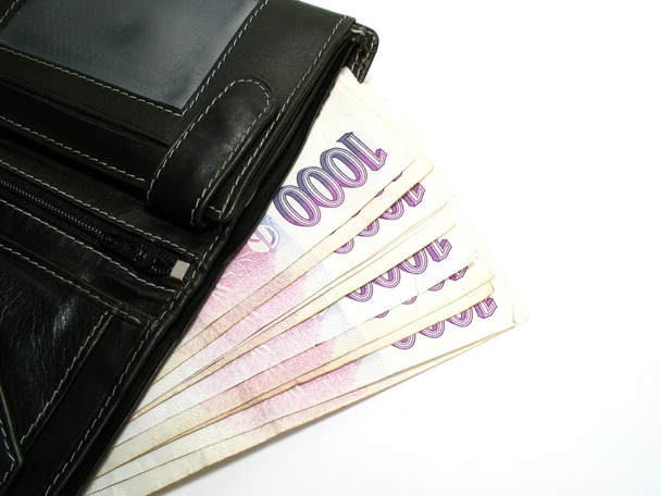 Monedero con billetes checos
 - Foto, imagen
