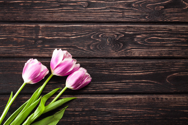 Tulip on wood background - Valokuva, kuva