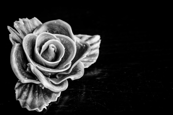 rose on black - Photo, Image