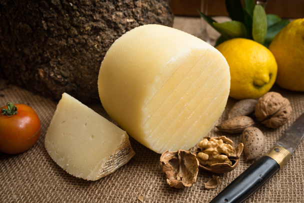 Shape of Pecorino cheese - Zdjęcie, obraz