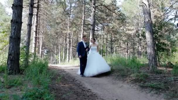 Braut und Bräutigam spazieren im Kiefernwald - Filmmaterial, Video