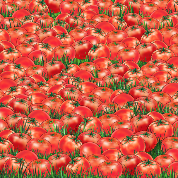 Czerwony pomidory i trawy piękne tło warzywo czerwony, czerwony wzór - Zdjęcie, obraz