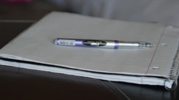 Writer Takes Notes in a Notebook - Video